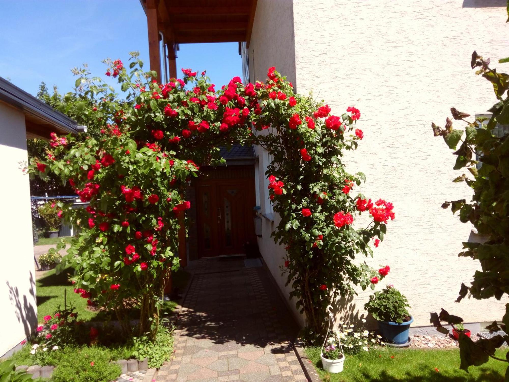 Fewo Rasche zum Träumen Beverungen Exterior foto